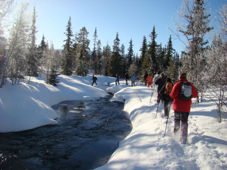 Sneeuwschoenwandelen in verstild winters berglandschap